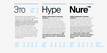 nure-variable preview 4