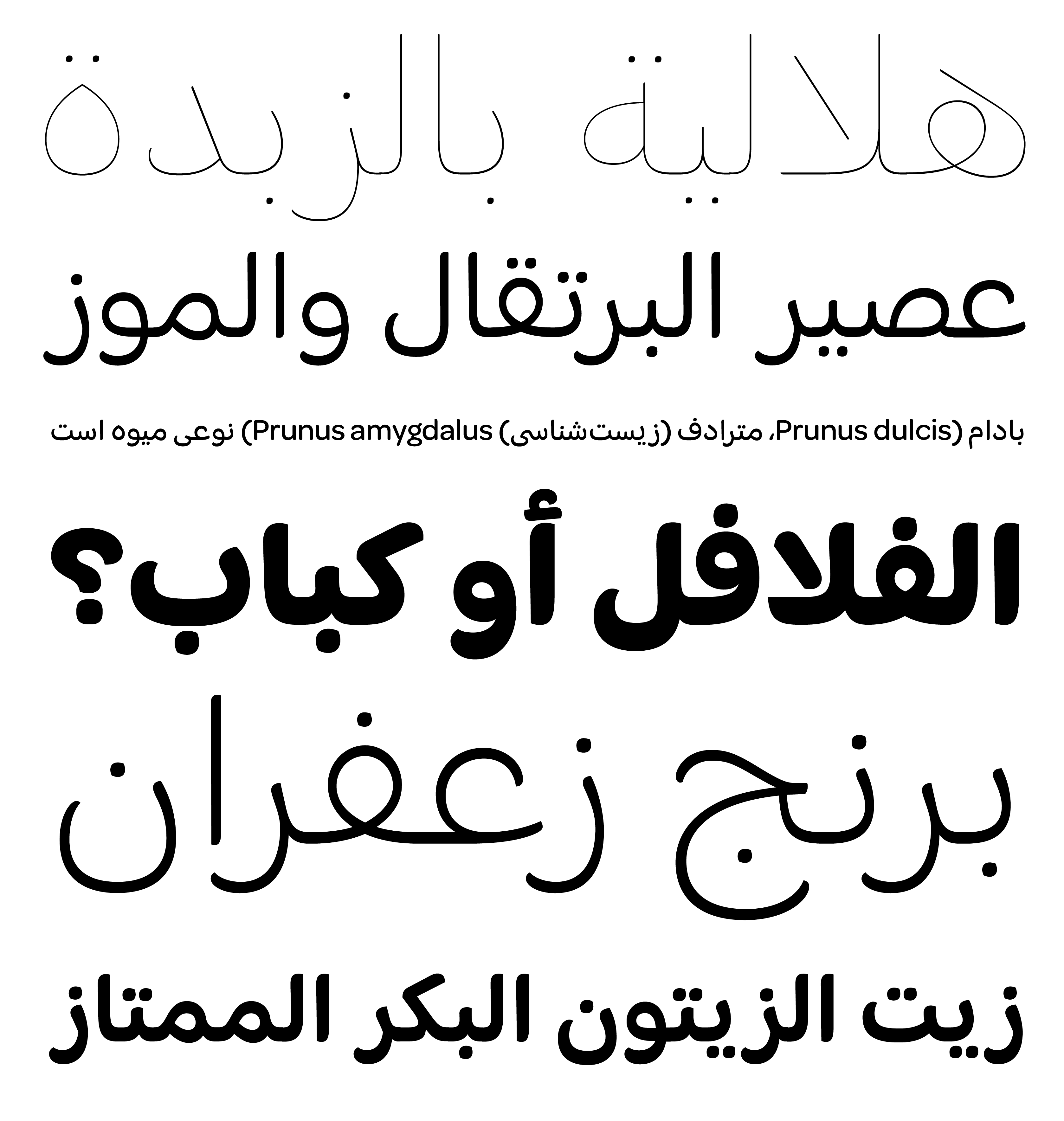 omnes-arabic preview 5