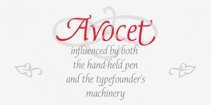 p22-avocet-pro preview 3