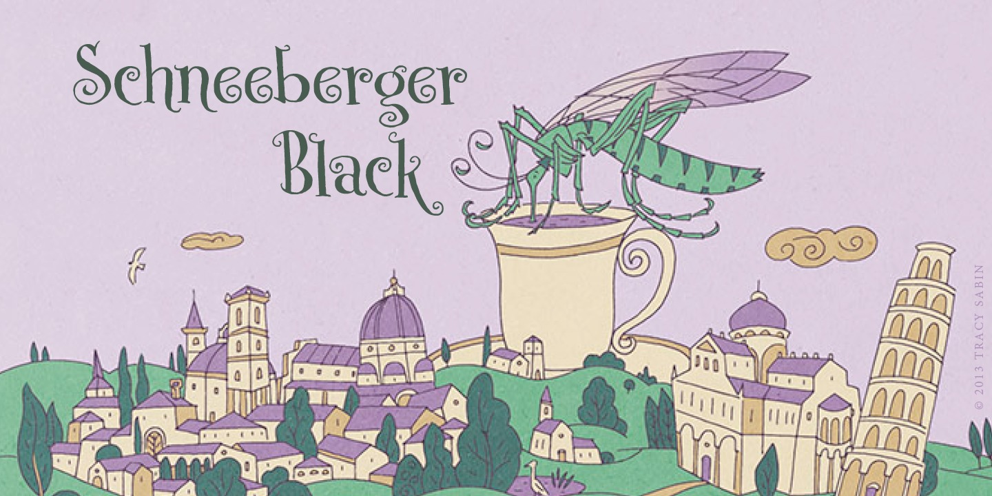 p22-schneeberger font preview - main display