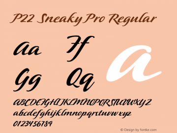 p22-sneaky-pro preview 4