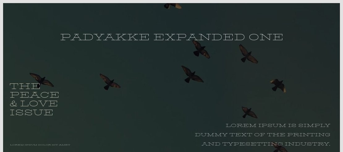 padyakke-expanded-one font preview - main display