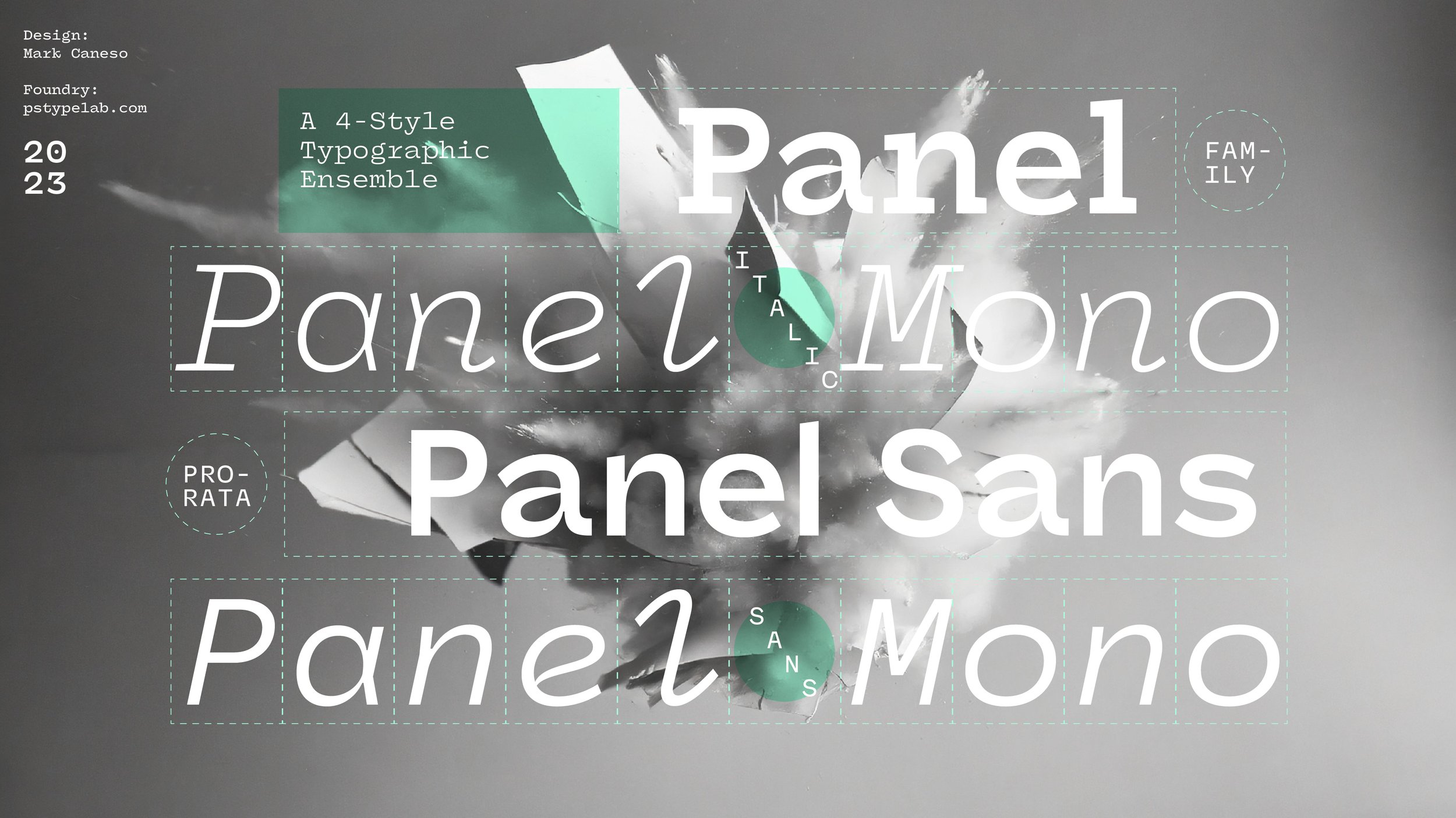 panel-mono preview 2