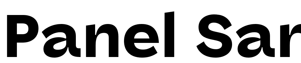 panel-sans font preview - main display