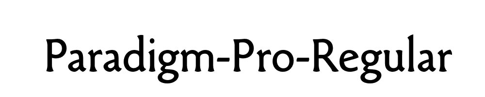 paradigm-pro preview 4
