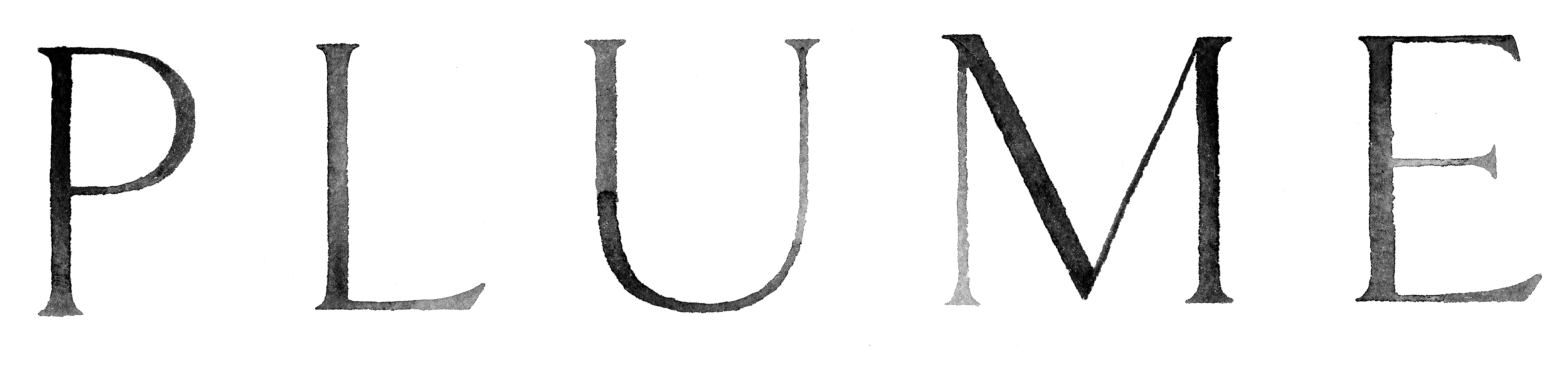 plume preview 3