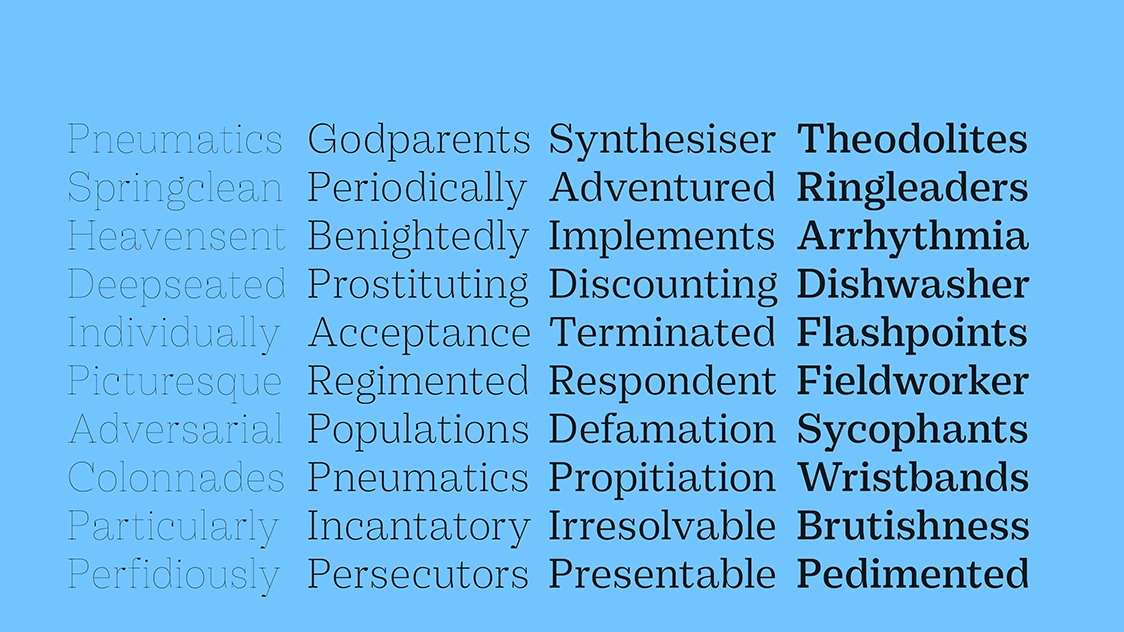 practical-serif preview 2