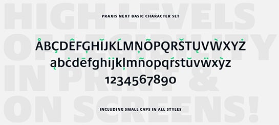 praxis-next preview 4
