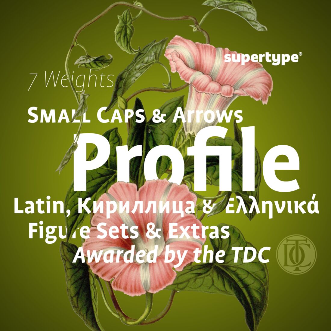 profile preview 5