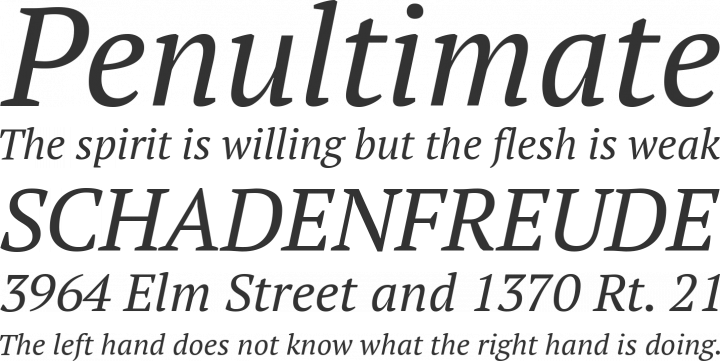 pt-serif-pro preview 1