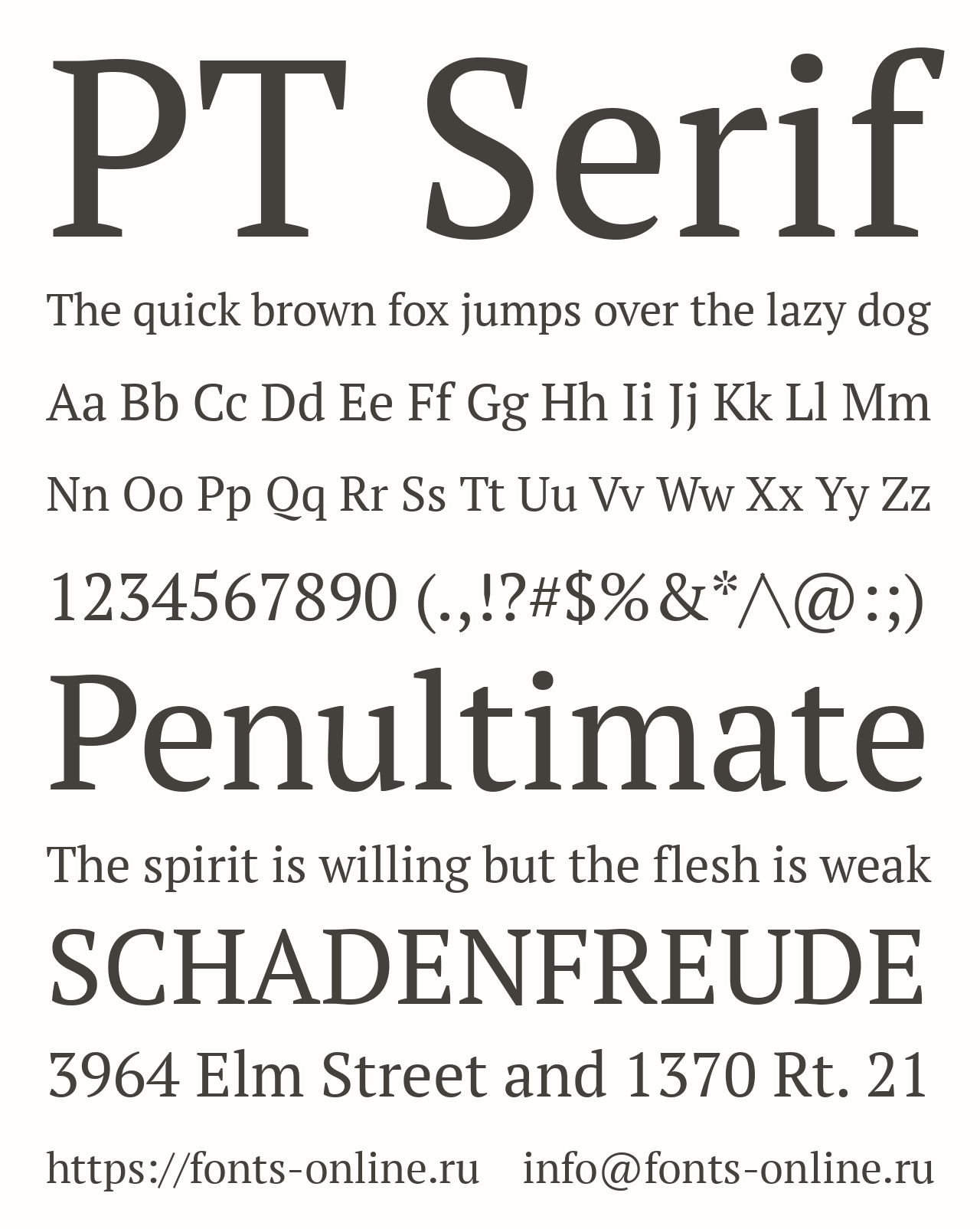 pt-serif-pro preview 4