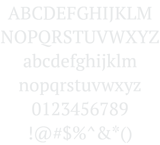 pt-serif preview 4