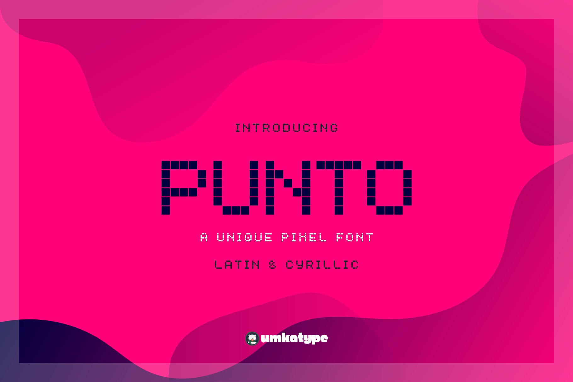 punto preview 1