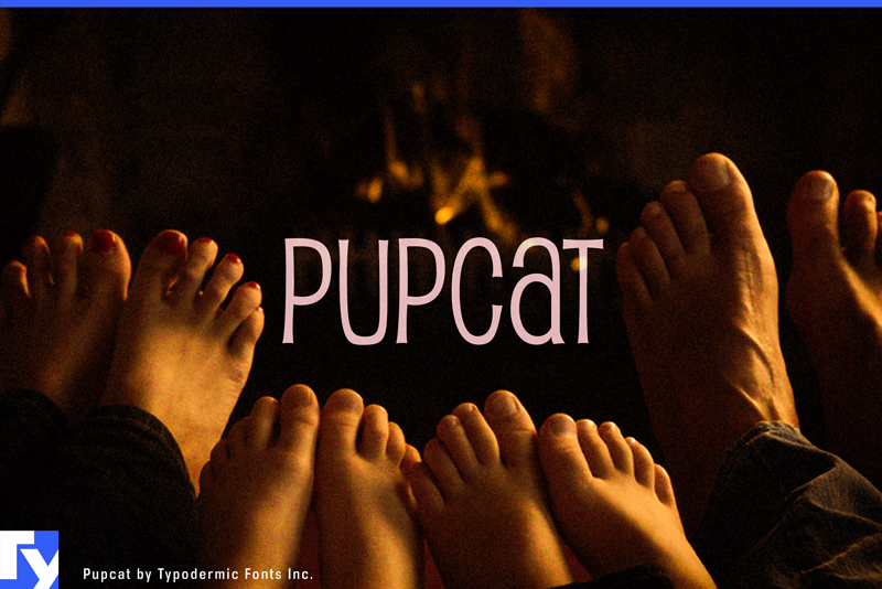 pupcat preview 3