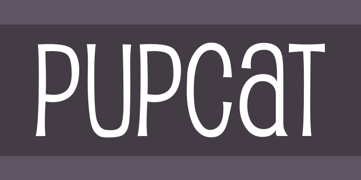pupcat preview 1