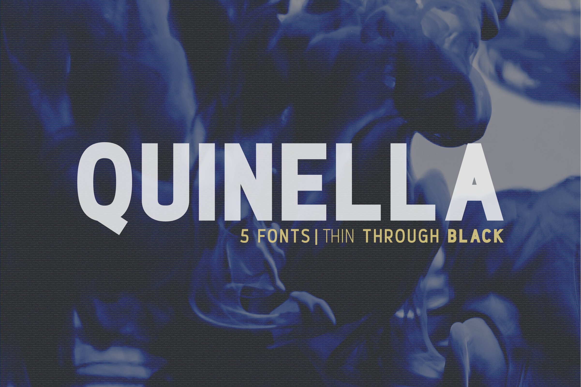 quinella preview 5