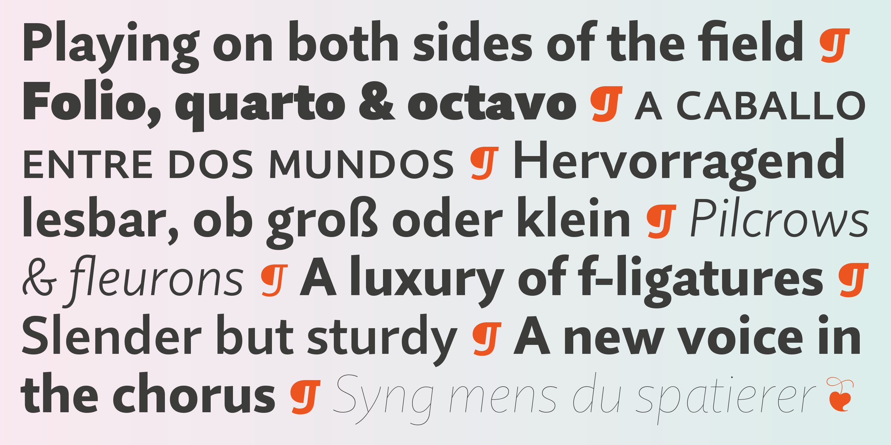quire-sans preview 3