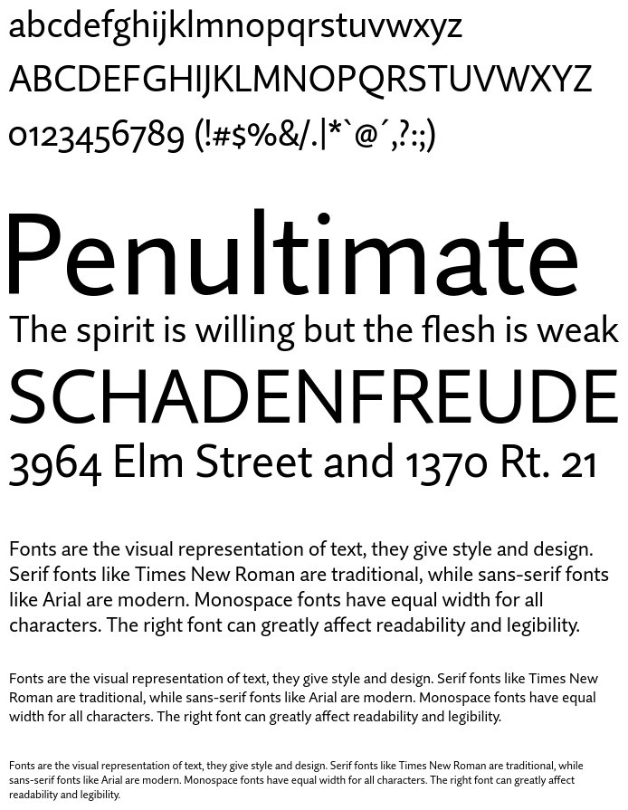 quire-sans preview 5