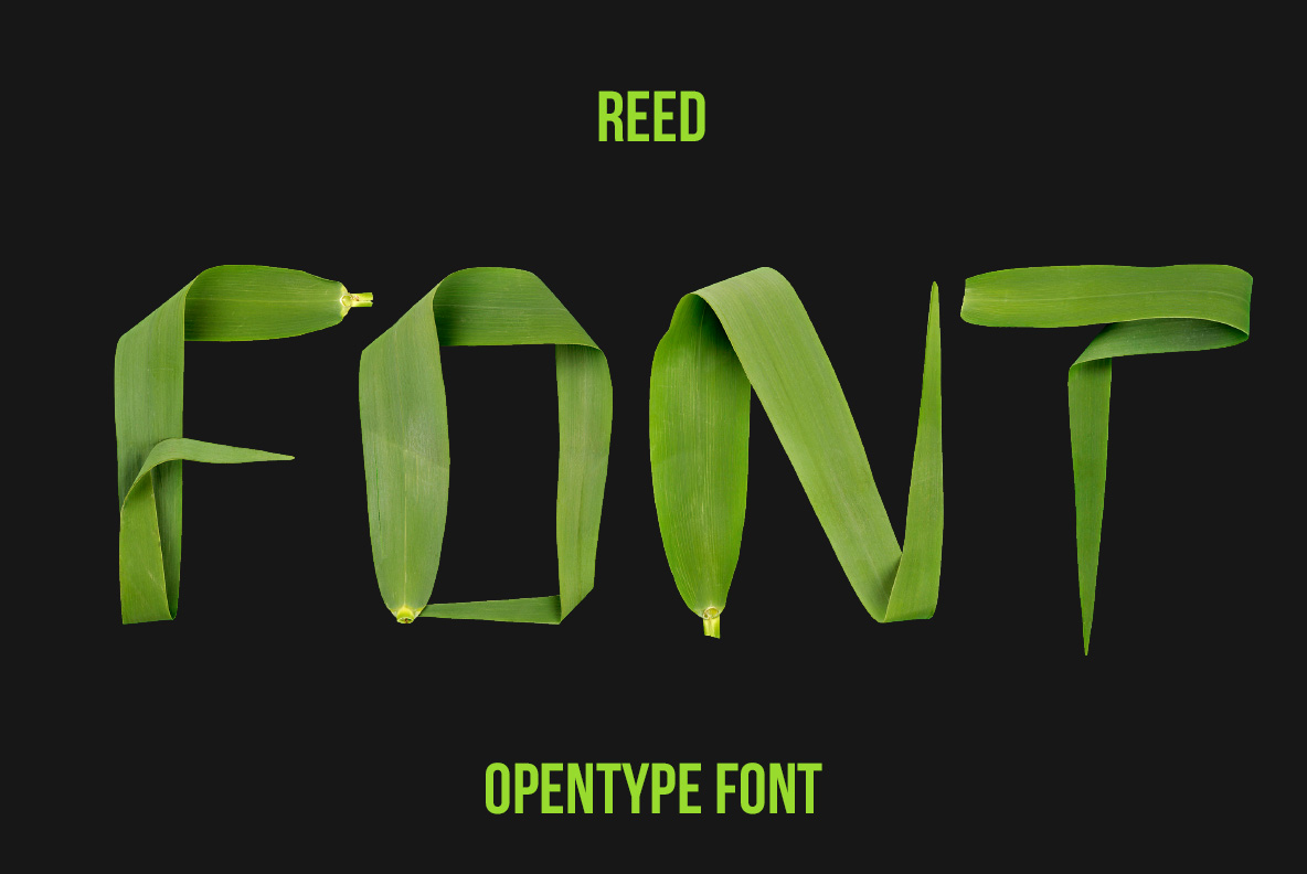 reed preview 4