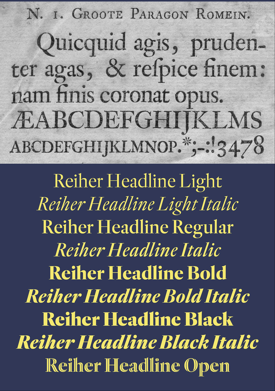 reiher-headline preview 4
