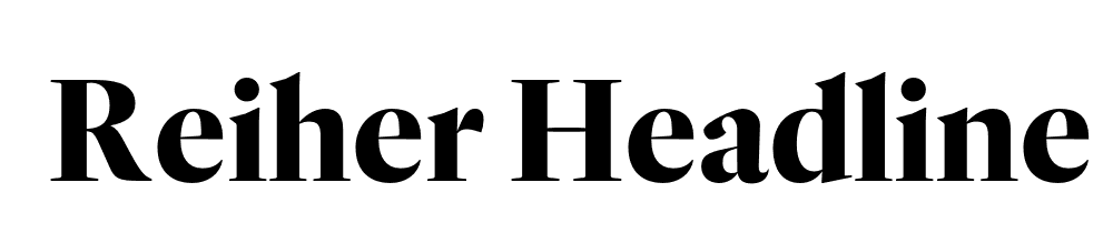 reiher-headline preview 5
