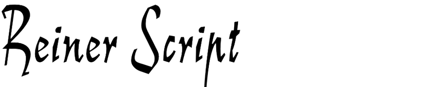 reiner-script preview 5