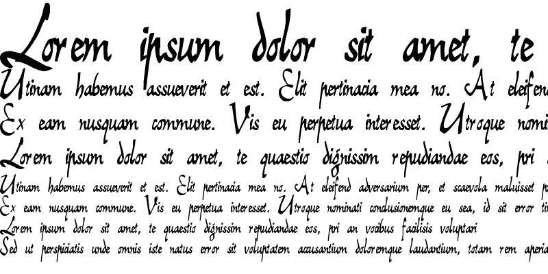 reiner-script preview 4