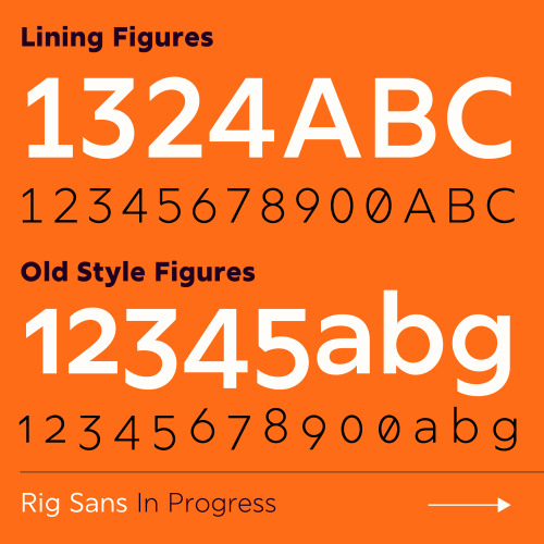 rig-sans preview 4