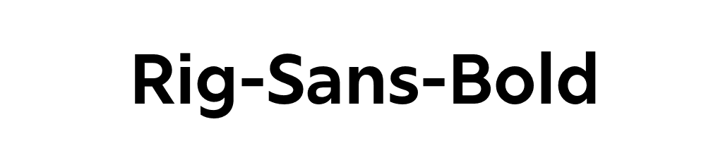 rig-sans preview 5