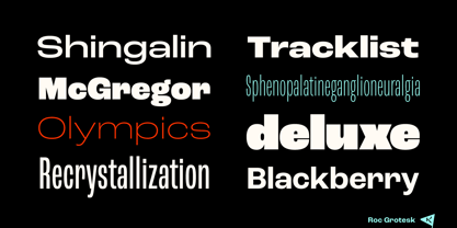 roc-grotesk preview 1