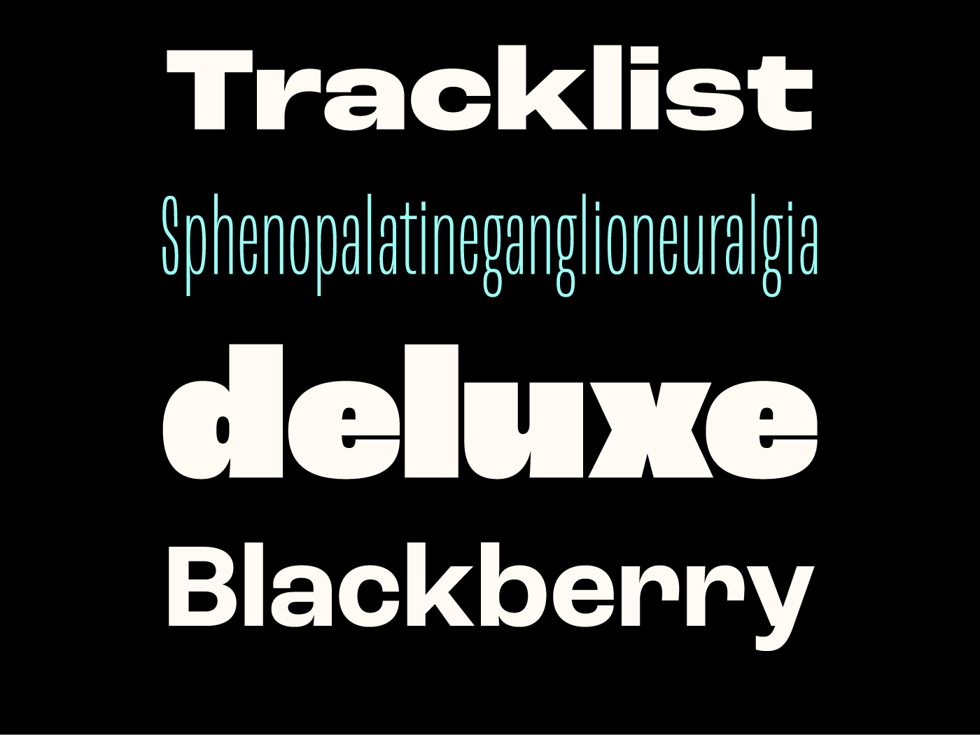 roc-grotesk preview 4