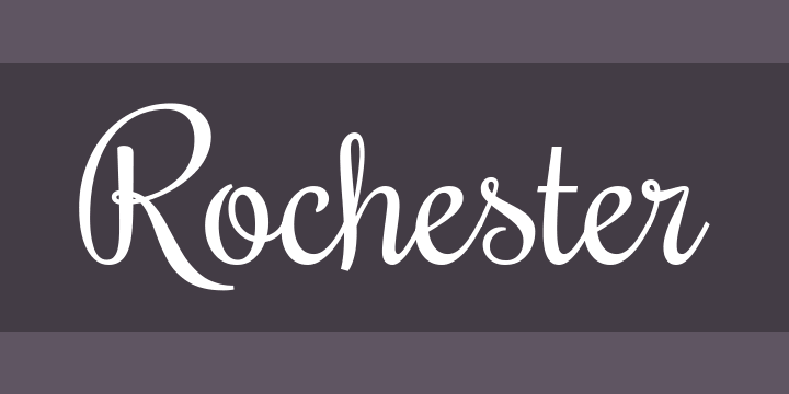 rochester-pro preview 5