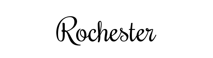 rochester-pro preview 1