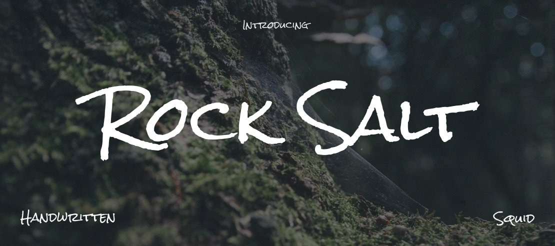 rock-salt-pro preview 5