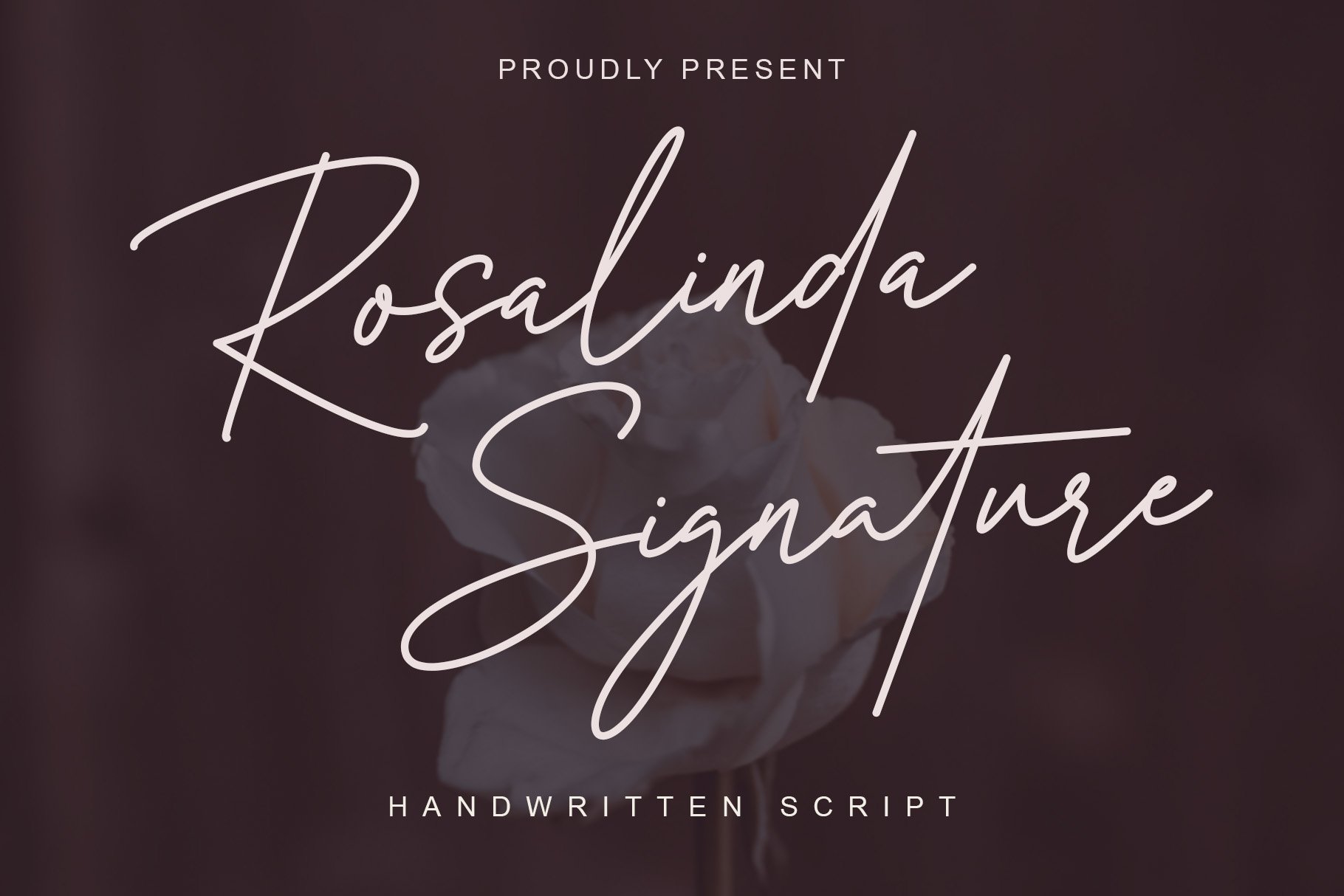 rosalinda preview 5