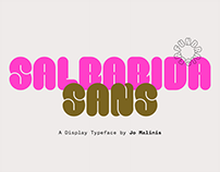 salbabida-sans-pro preview 1