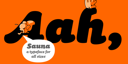 sauna-pro preview 3