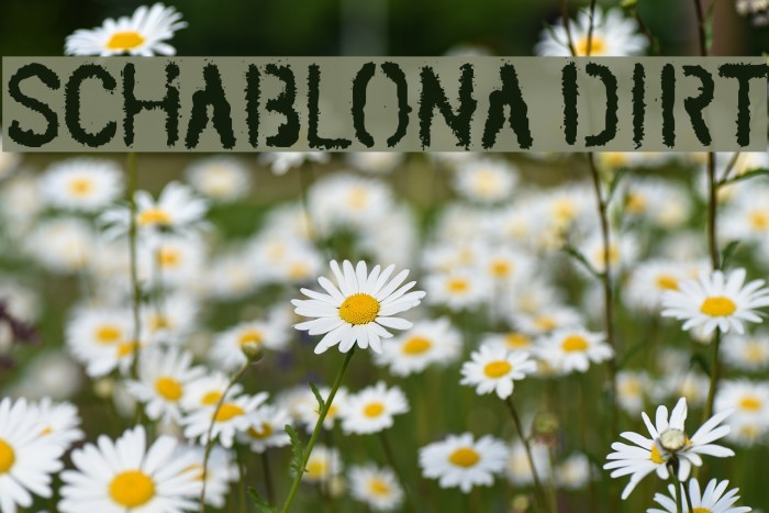 schablona preview 3