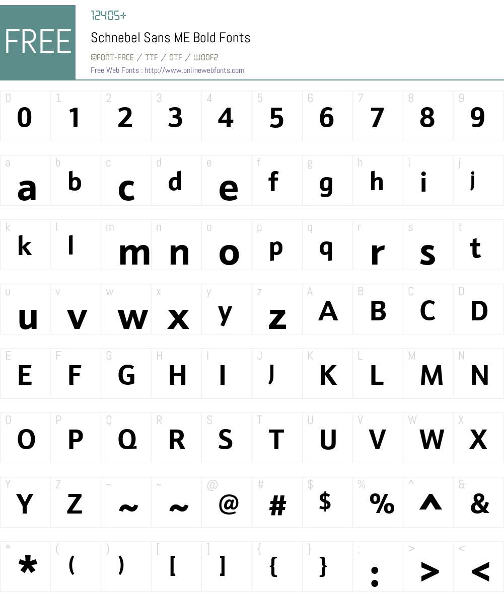 schnebel-sans-me font preview - main display