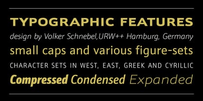 schnebel-sans font preview - main display