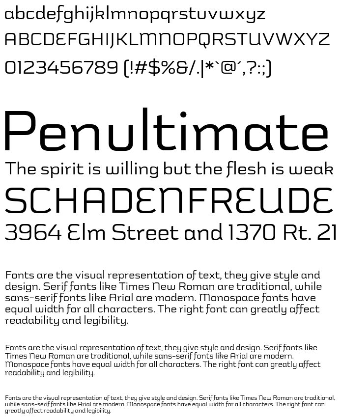 schwager-sans preview 3