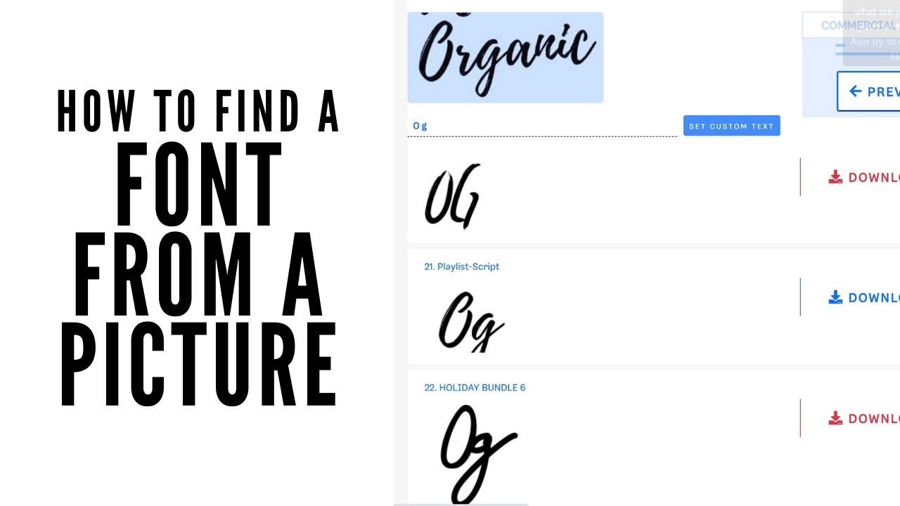 search preview 1