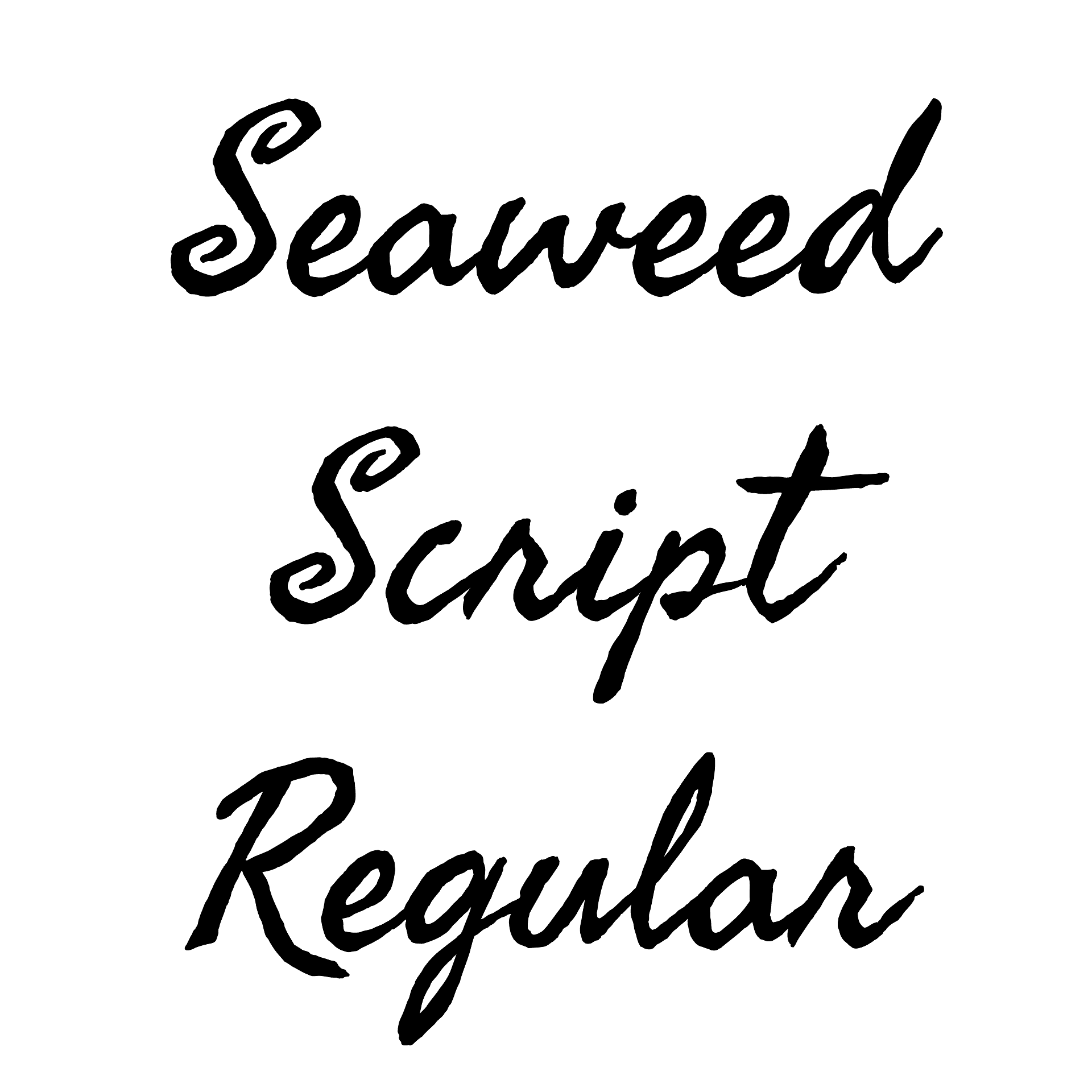 seaweed-script-pro preview 3