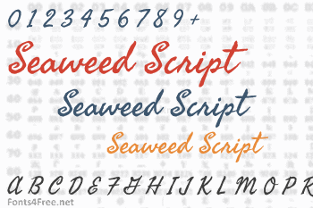 seaweed-script-pro preview 4