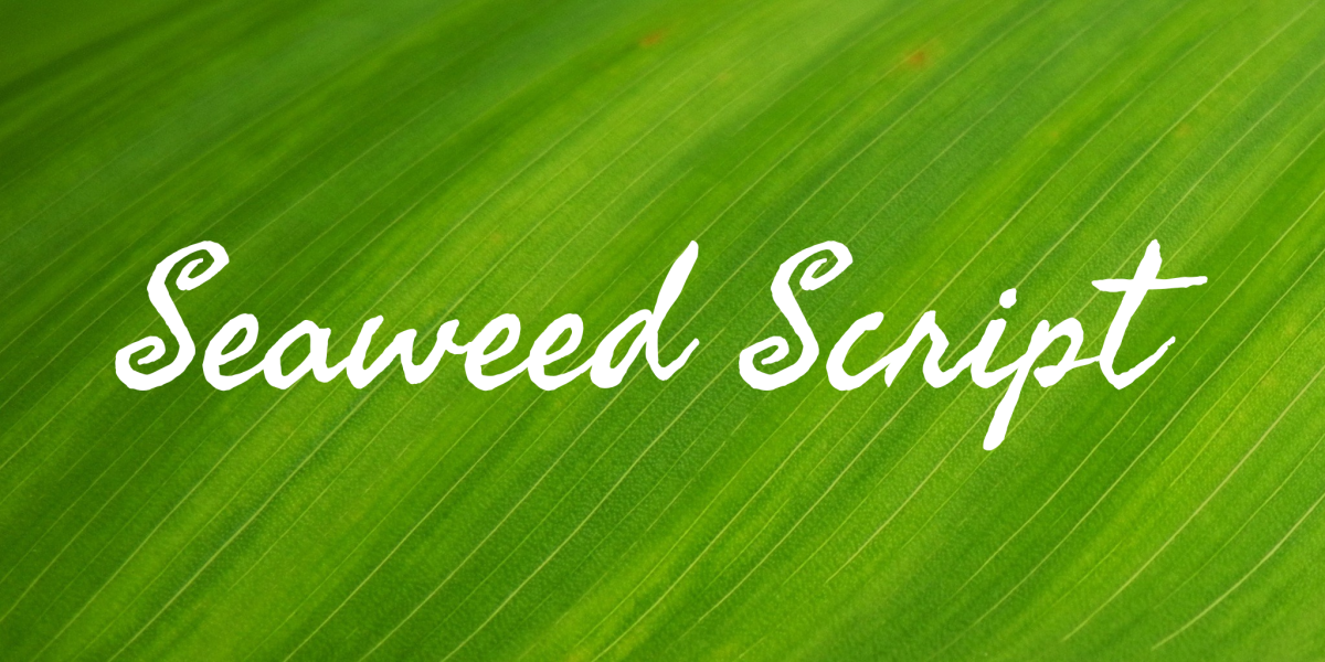 seaweed-script-pro preview 1