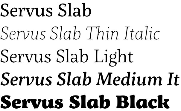 servus-slab preview 4