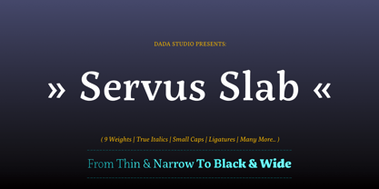 servus-slab preview 2