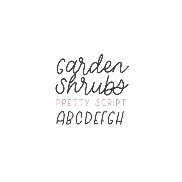 shrub preview 2
