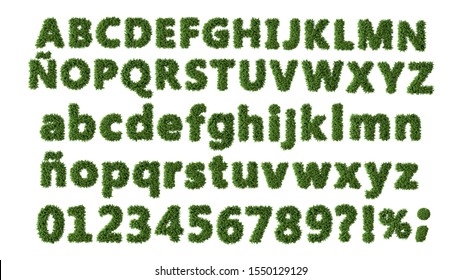 shrub preview 5