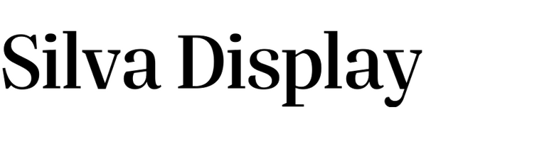 silva-display preview 1